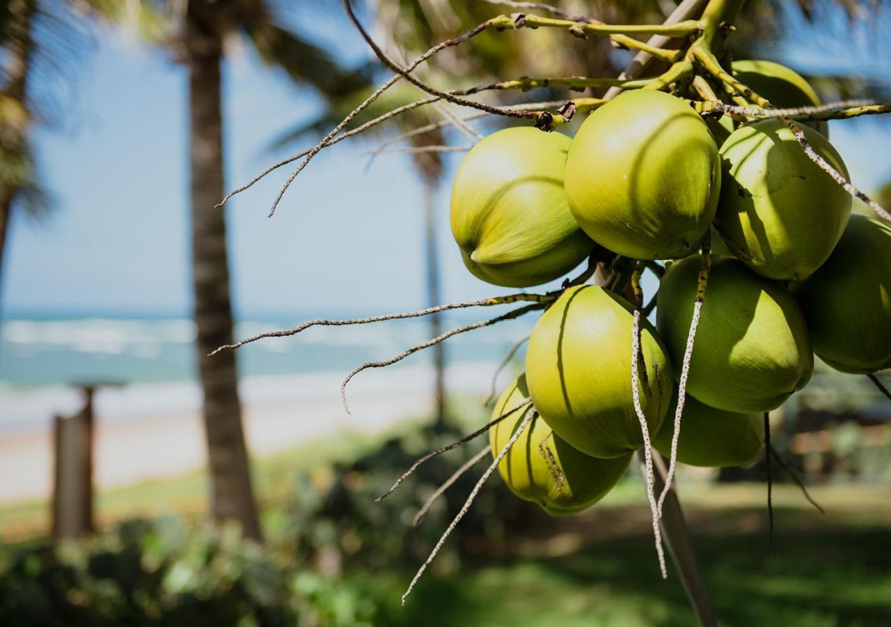 Flat Guarajuba Beira Da Praia Pe Na Areia Ngoại thất bức ảnh